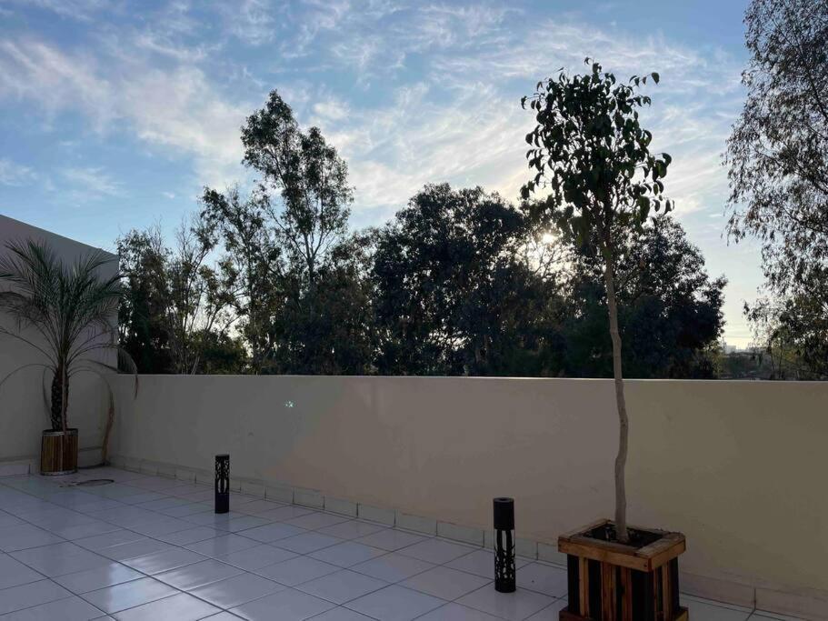 Otay Studio Great Patio Near Otay Crossing & Airport Tijuana Exterior photo